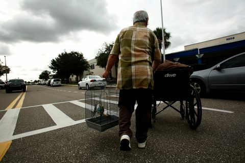 Badai Besar, Irma, Menurun Di Florida