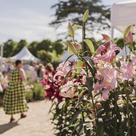 pengunjung berbelanja di desa tanaman di rhs hampton court bunga setelah jam acara