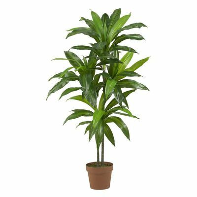 Sentuhan Nyata 48 in. H Tanaman Sutra Dracaena Hijau