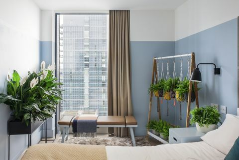 houseplant-hotel-leman-locke-east-london