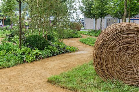 chelsea flower show 2021 rhs queen’s green canopy garden design by david dodd