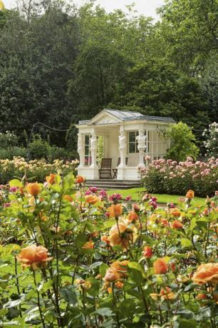 taman istana buckingham terungkap dalam buku baru