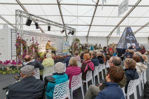 RHS Sprint Malvern Festival Show