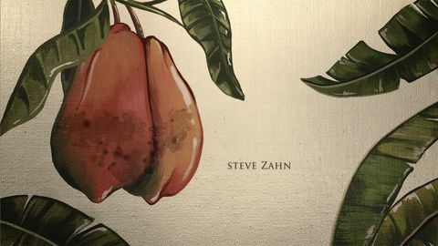 wallpaper dari opening credit hbo's the white lotus