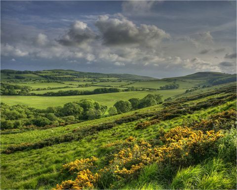 Purbeck - Dorset