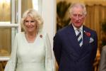 Siapa Wanita Ratu Camilla yang Menunggu?