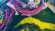 Cuplikan Drone Musim Semi Blossom Tiongkok Mencengangkan
