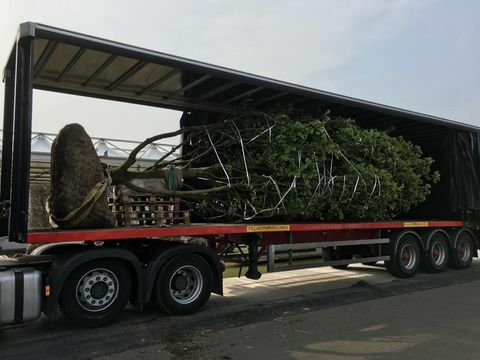 Chelsea Flower Show 2019: Selamat datang di Yorkshire garden build dimulai