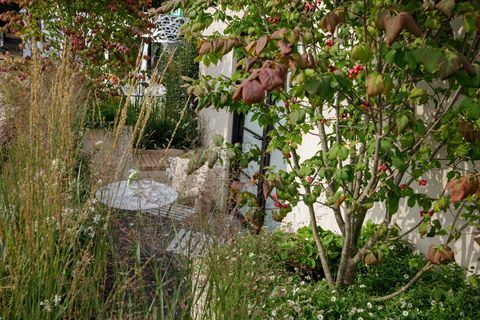 chelsea flower show 2021 balkon mekar, taman balkon