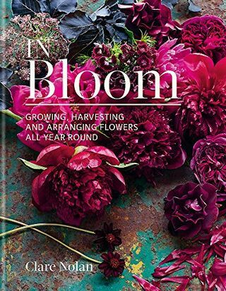 In Bloom: Menanam, memanen, dan mengatur bunga sepanjang tahun