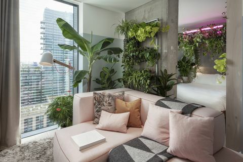 houseplant-hotel-leman-locke-east-london