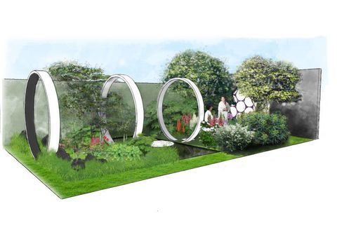 Kebun Bunga RHS Chelsea - pertama kali melihat pameran