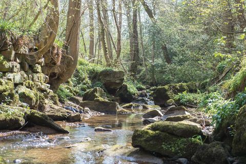 pondok dijual di yorkshire utara