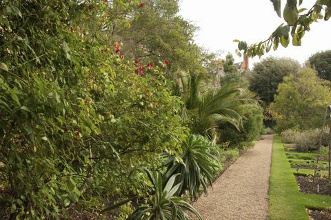 Chelsea Physic Garden, London, Inggris