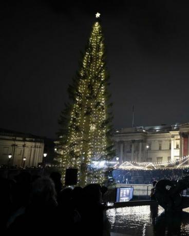 trafalgar square pohon natal menyala