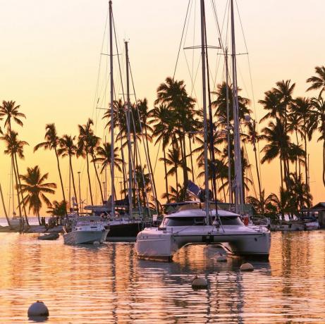 Kapal Pesiar Sunset Catamaran di Key West