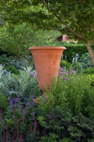 chris beardshaw's g﻿old medalwinning rnli garden dari rhs chelsea flower show﻿﻿