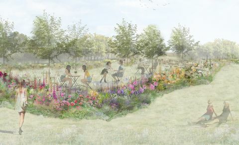 kebun teh mawar, taman fitur rhs, dirancang oleh pollyanna wilkinson, festival taman istana pengadilan rhs hampton 2022