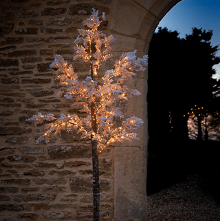 Indoor Outdoor Large Light Up Blossom Tree - Putih Lembut