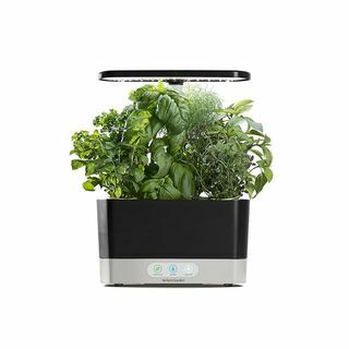 Panen AeroGarden