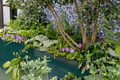 chelsea flower show 2021 sky sanctuary taman balkon yang dirancang oleh michael coley