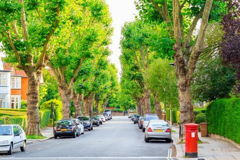 Jalan dipagari pepohonan di Hampstead Barat London