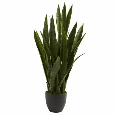 Sansevieria buatan dengan Black Planter