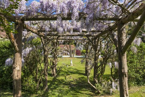 Kastil Warblington - pergola - Hampshire - OnTheMarket.com