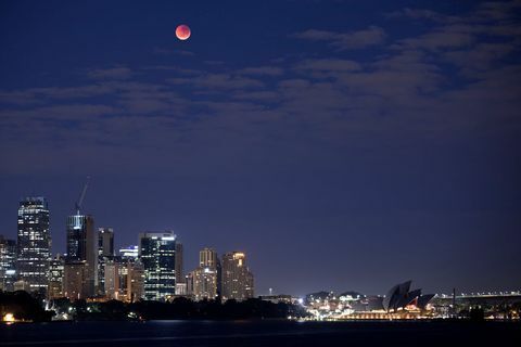 bulan darah sydney