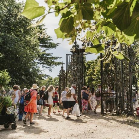 pengunjung dengan belanja tanaman di rhs hampton court palace garden festival 2022is