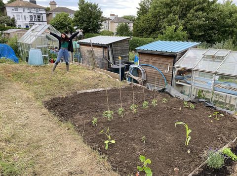 sebidang tanah jatah kebun millenial kiran growal