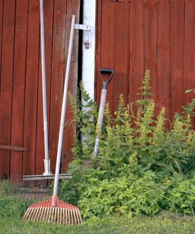 peralatan berkebun bersandar di dinding gudang