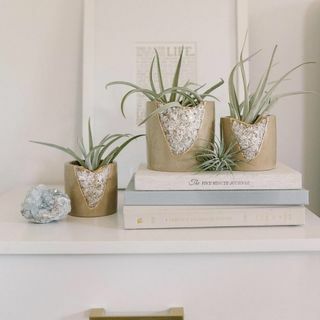 House of Harlow 1960 Pembuat Kolab Geode Planter