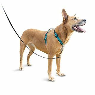 Harness Anjing 3 in 1