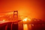 Foto Nyata Kebakaran Hutan Pantai Barat