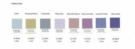 Warna Pantone Tahun Ini