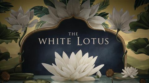 wallpaper dari opening credit hbo's the white lotus