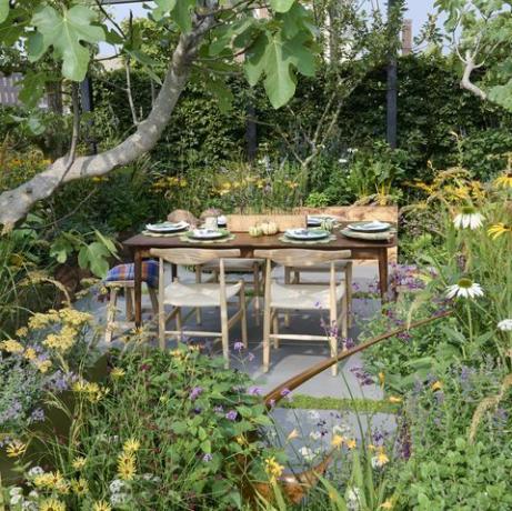 chelsea flower show 2021 taman suaka peterseli kotak yang dirancang oleh alan williams