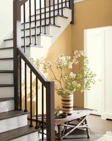 benjamin moore 2021 palet tren warna