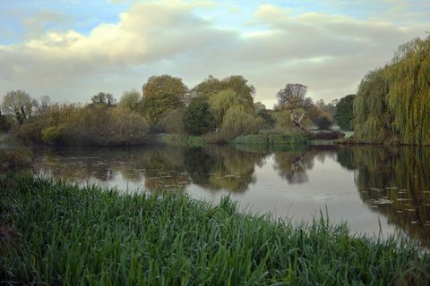 Matahari terbit bulan Oktober di tanah Foots Cray Meadows, di samping Jembatan Lima Lengkungan di atas Sungai Cray di Bexley, Kent, Inggris.