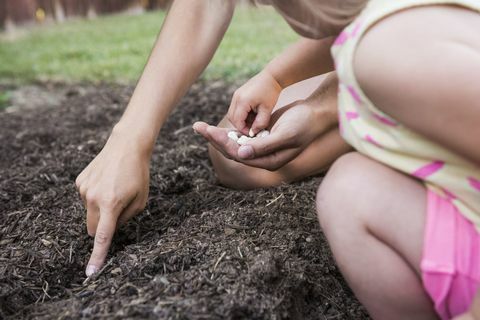 Ibu dan anak perempuannya menanam benih di kebun