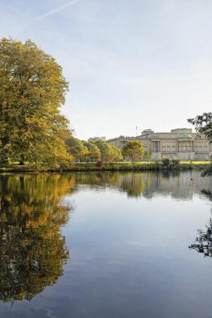 Pengunjung istana buckingham dapat berpiknik di taman yang megah musim panas ini