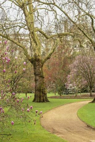 taman istana buckingham terungkap dalam buku baru