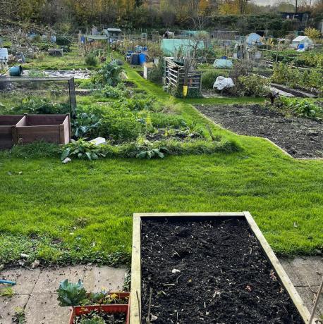 kebun sayur peruntukan dengan tempat tidur kayu yang ditanami tumbuhan, puntung air plastik biru, gerobak dorong, terowongan poli, pagar rantai