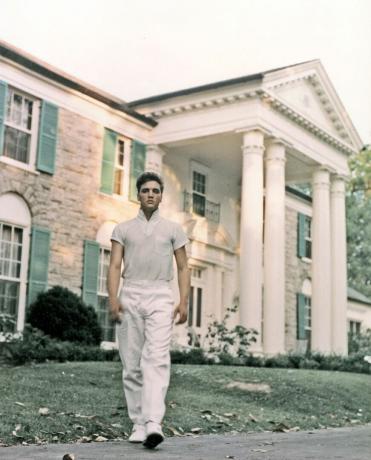 elvis presley di graceland