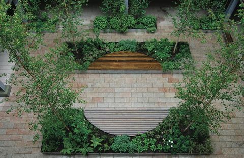 Penghargaan Society of Garden Designer - Anne Windsor - Pemenang The Big Ideas, Smal Budget Award - SGD AWARDS 2017