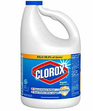 Clorox Regular Bleach