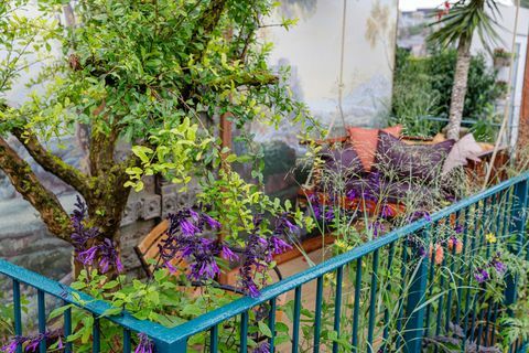 chelsea flower show 2021 taman balkon arcadia