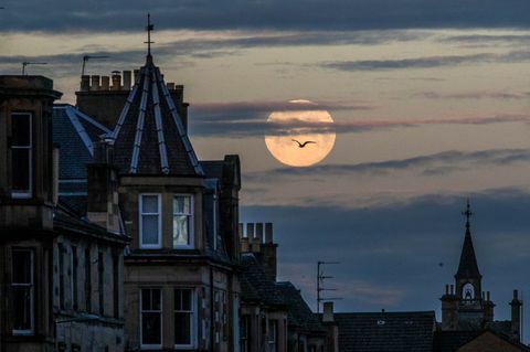 Supermoon Merah Muda