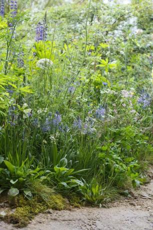 Selamat datang di taman Yorkshire di Chelsea Flower Show 2019